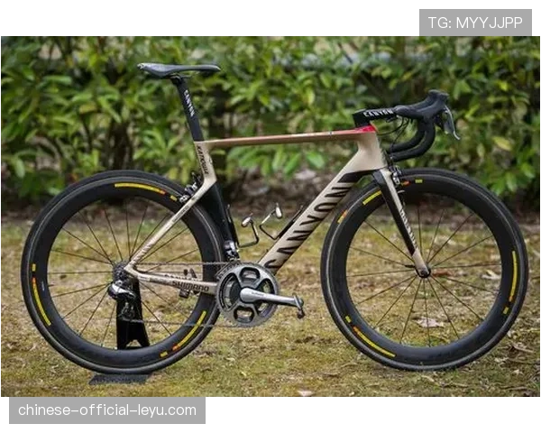 机械师视角下的巴黎-鲁贝：赛前通宵奋战确保战车万无一失